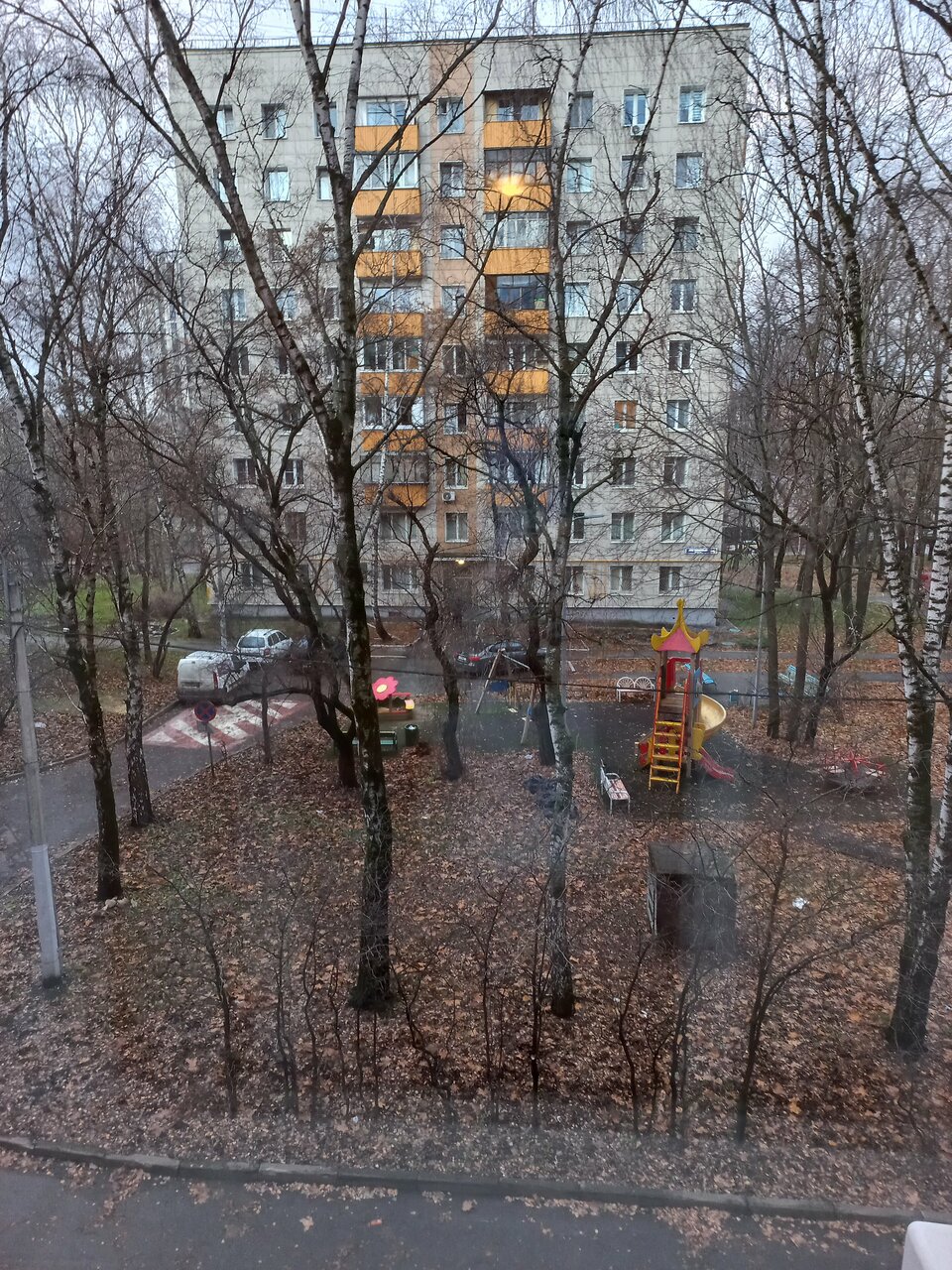 Гостиница Максима Ирбис Москва-190