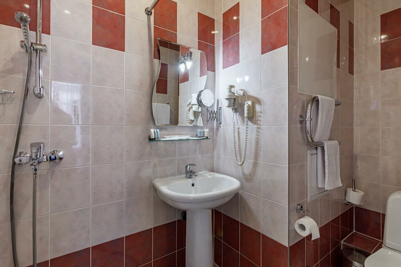 Гостиница Максима Ирбис Москва-152