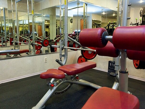 Гостиница Максима Ирбис Москва-87