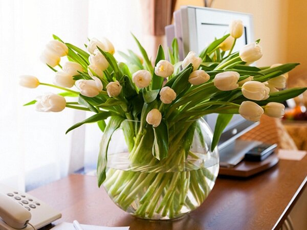 Гостиница Максима Ирбис Москва-37