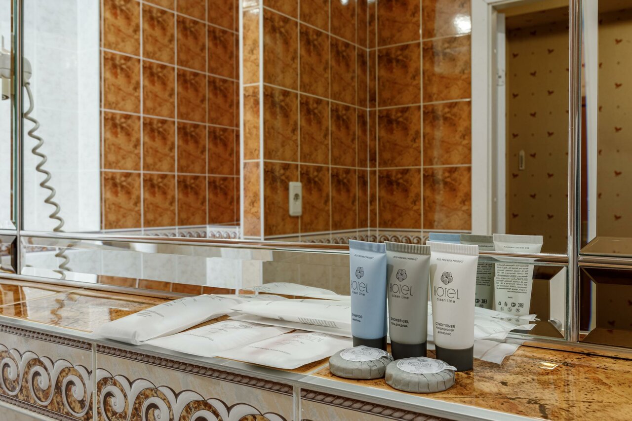 Гостиница Максима Ирбис Москва-41