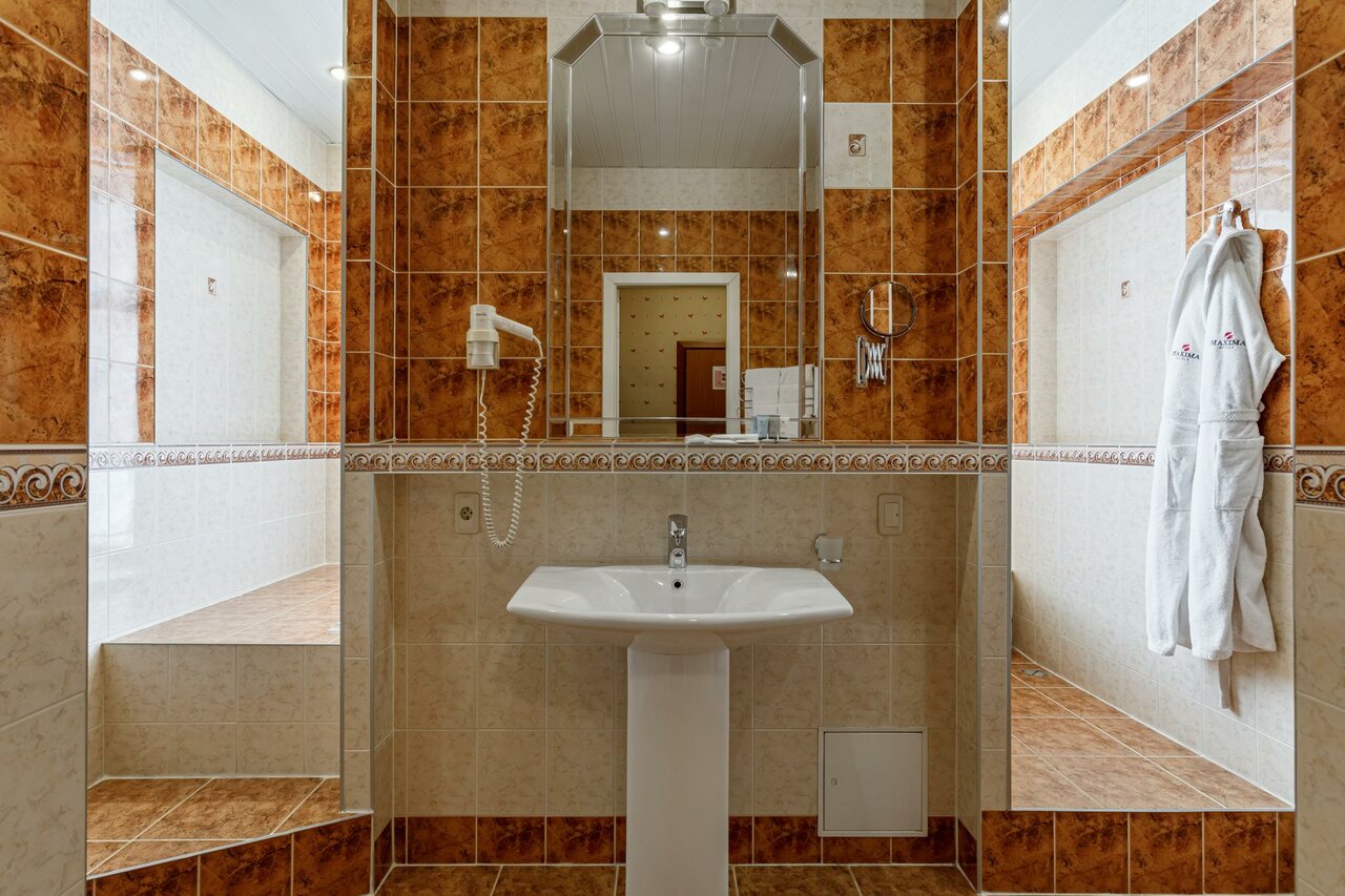 Гостиница Максима Ирбис Москва-69