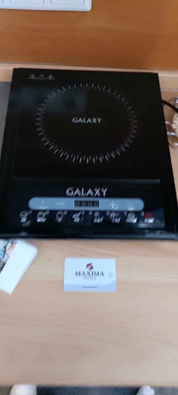 Гостиница Максима Ирбис Москва-196