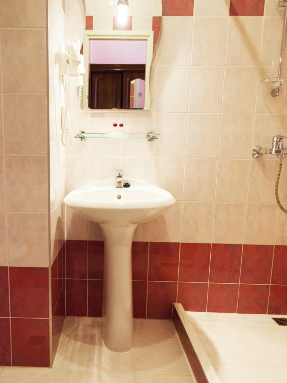 Гостиница Максима Ирбис Москва-12