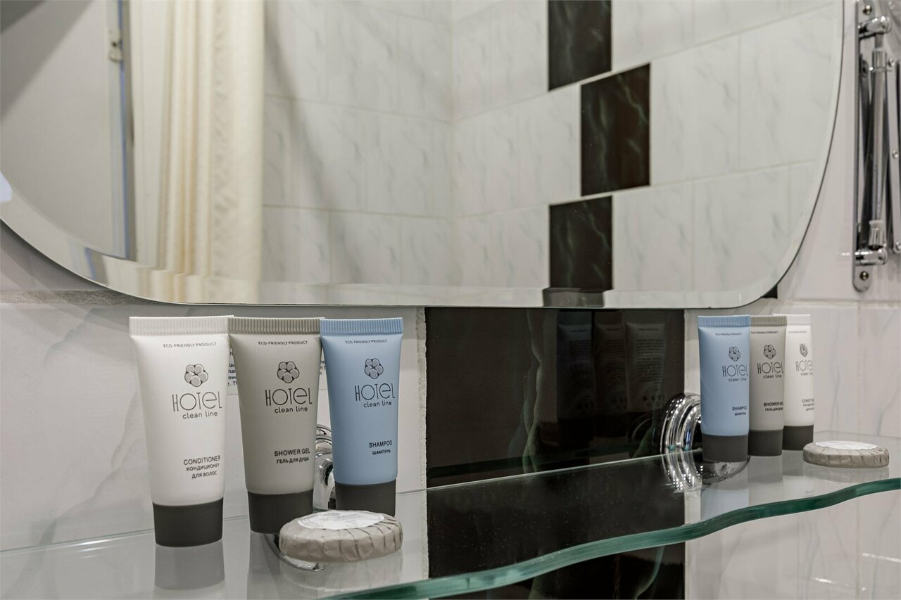 Гостиница Максима Ирбис Москва