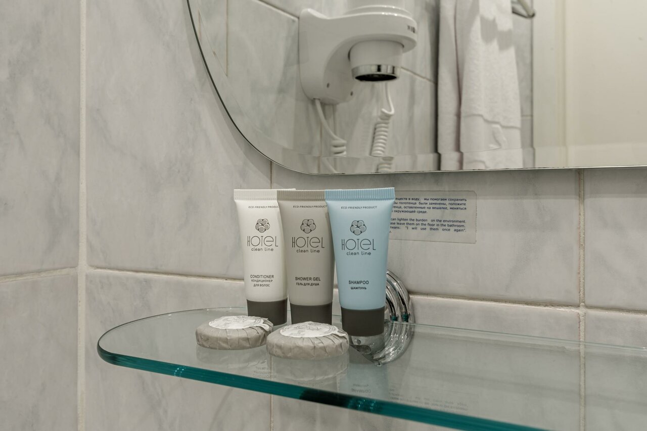 Гостиница Максима Ирбис Москва-147