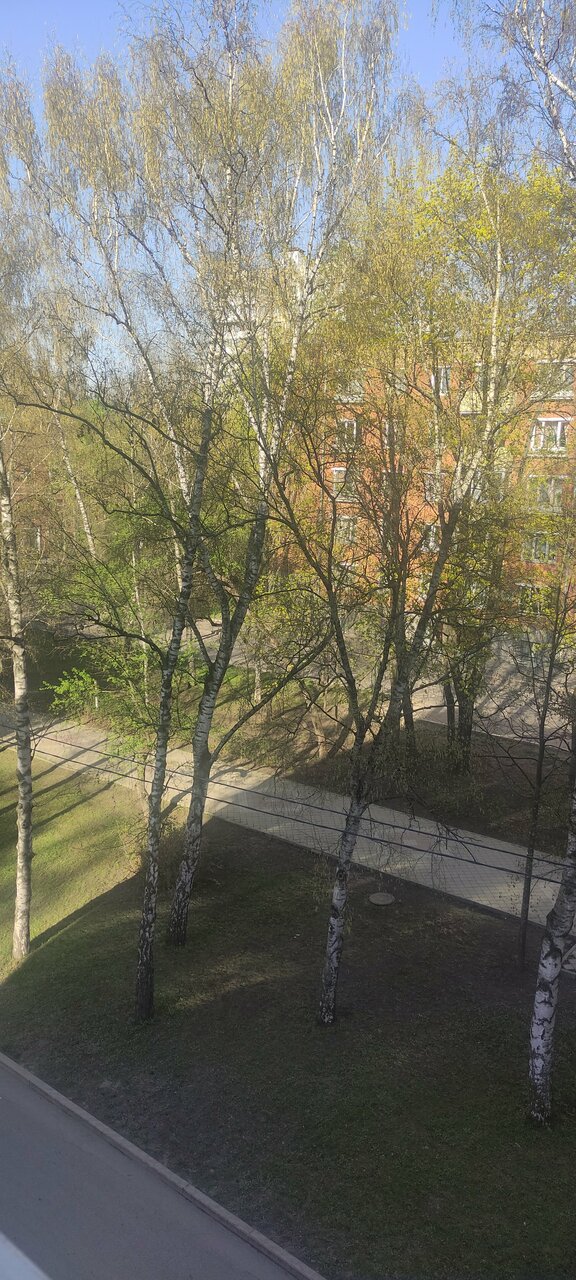 Гостиница Максима Ирбис Москва-229