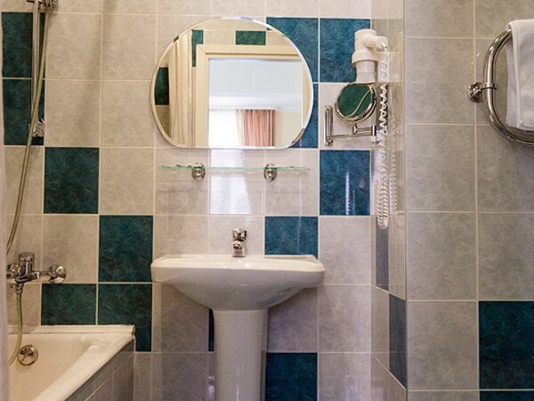 Гостиница Максима Ирбис Москва-135