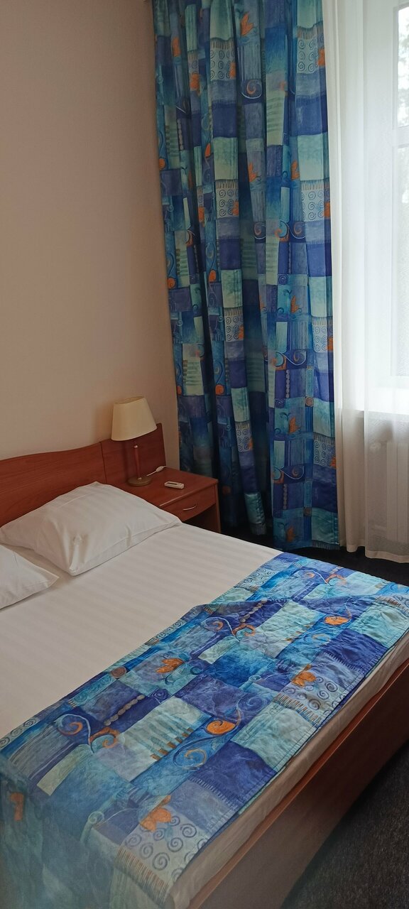 Гостиница Максима Ирбис Москва-197