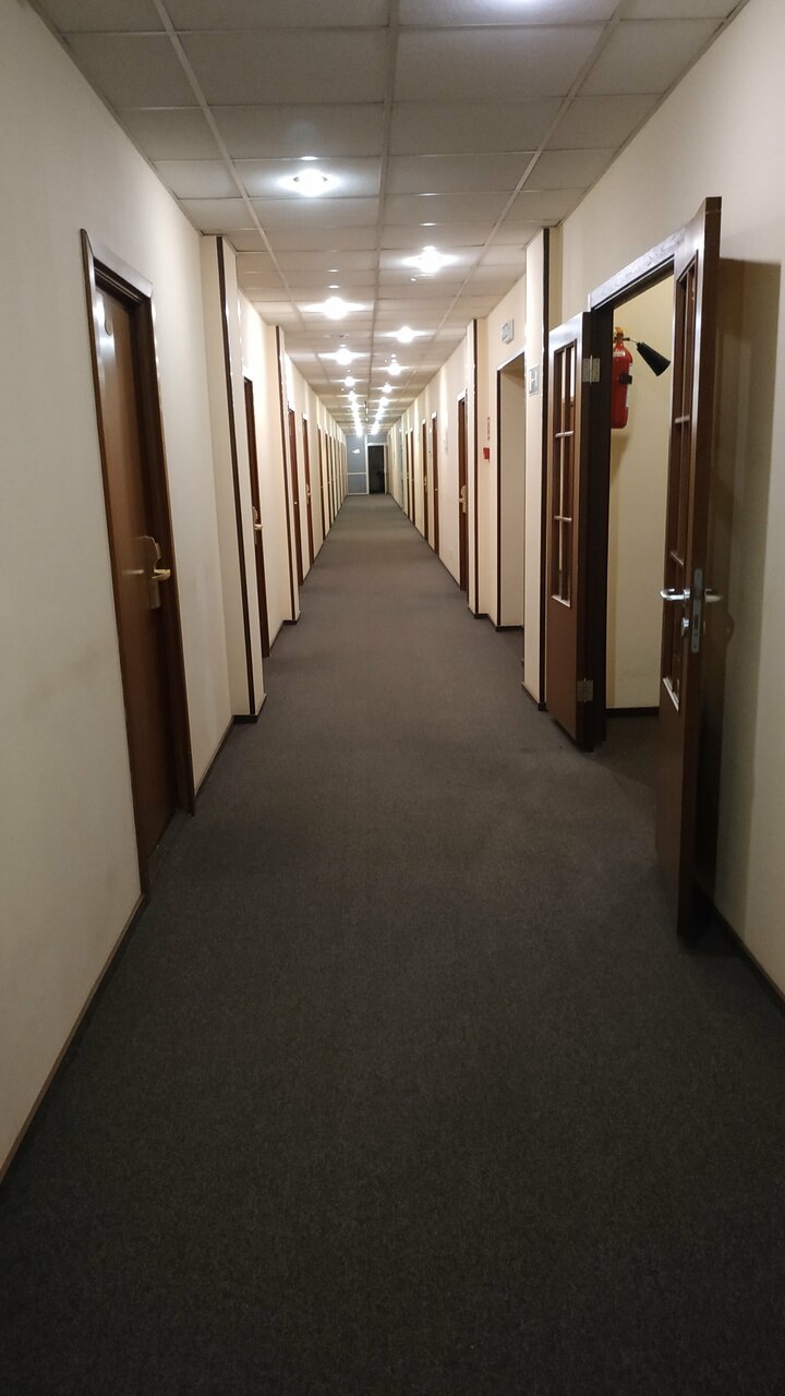 Гостиница Максима Ирбис Москва-253