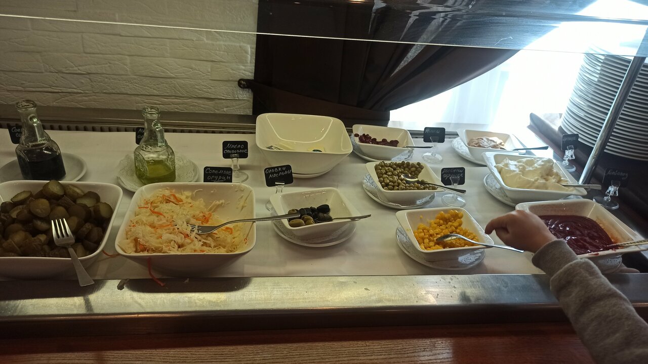 Гостиница Максима Ирбис Москва-224