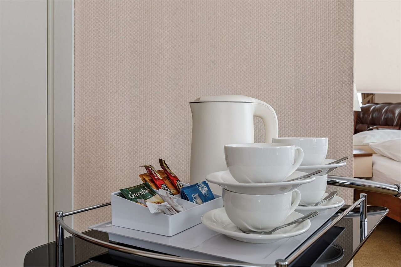 Гостиница Максима Ирбис Москва-64