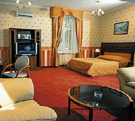 Гостиница Максима Ирбис Москва-43