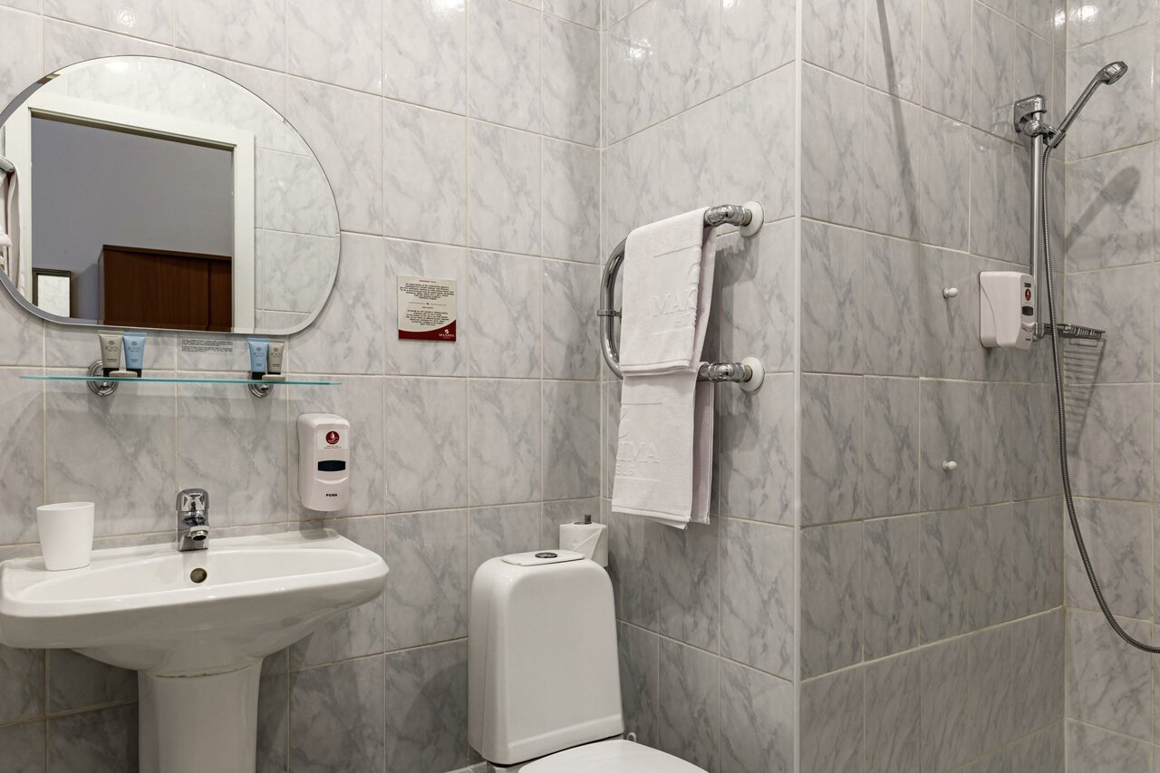 Гостиница Максима Ирбис Москва-181