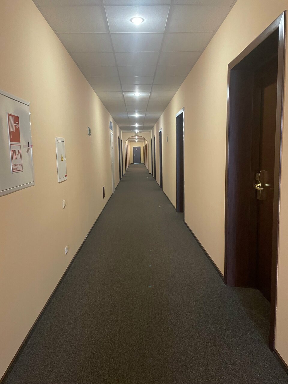 Гостиница Максима Ирбис Москва-201