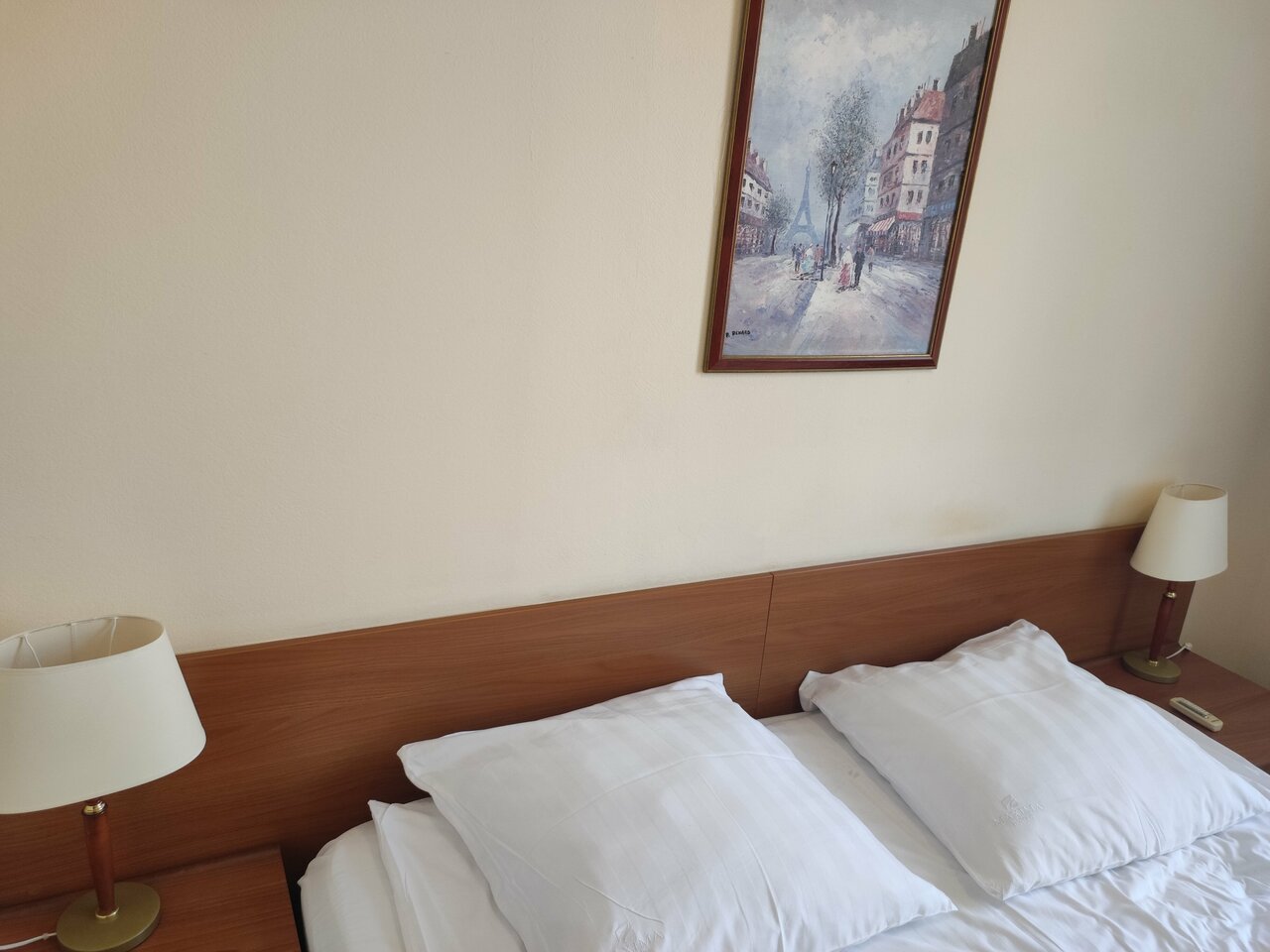 Гостиница Максима Ирбис Москва-243