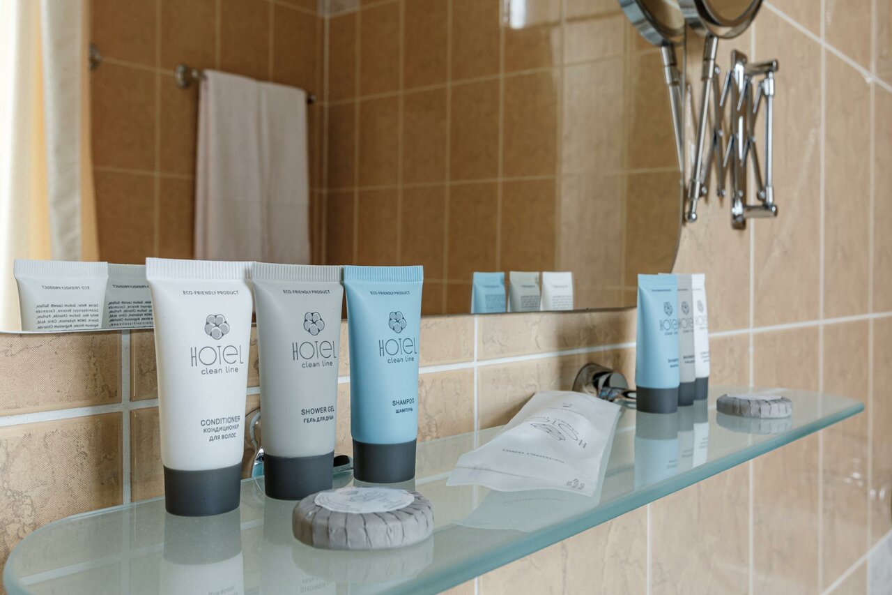 Гостиница Максима Ирбис Москва-79