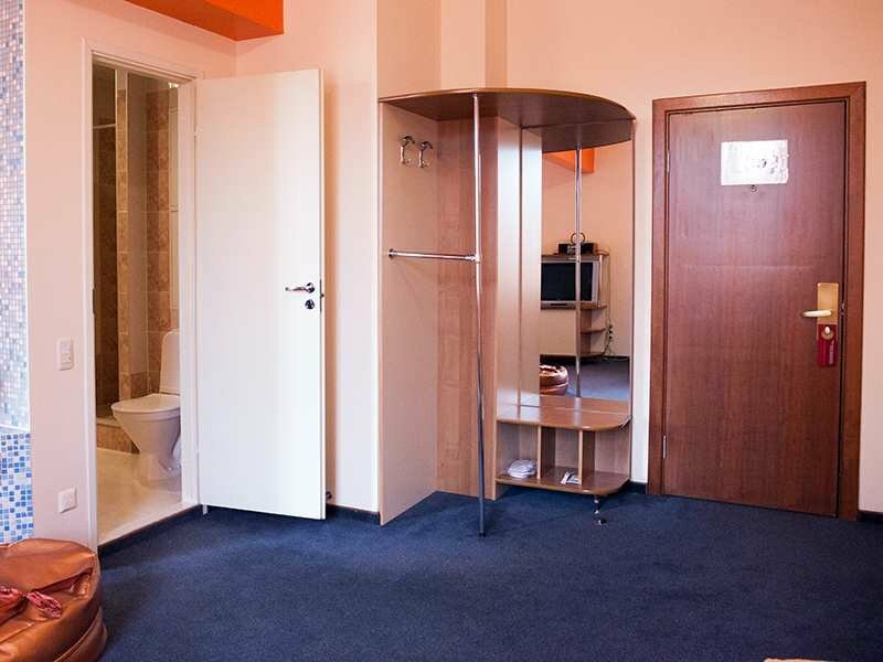 Гостиница Максима Ирбис Москва-166