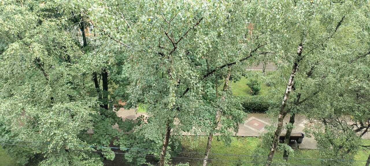 Гостиница Максима Ирбис Москва-186