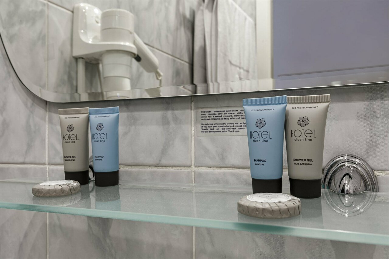 Гостиница Максима Ирбис Москва