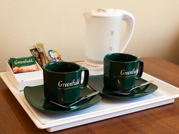 Гостиница Максима Ирбис Москва-40