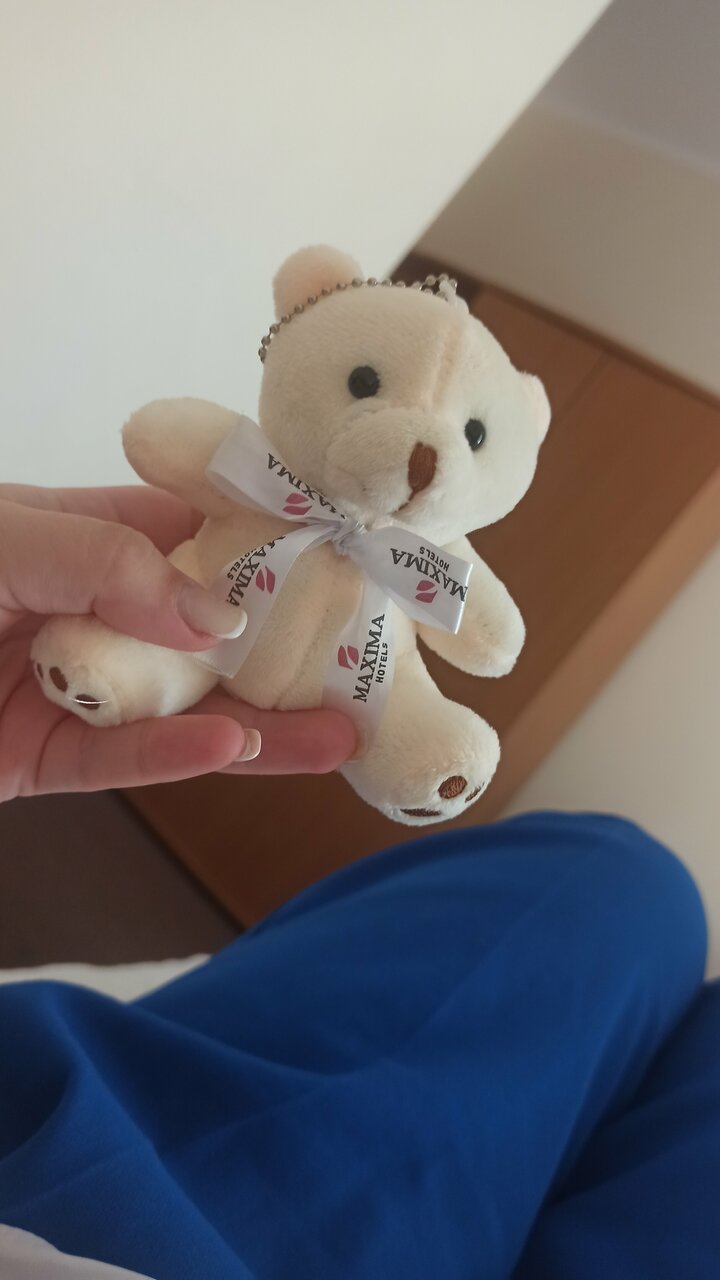 Гостиница Максима Ирбис Москва-184