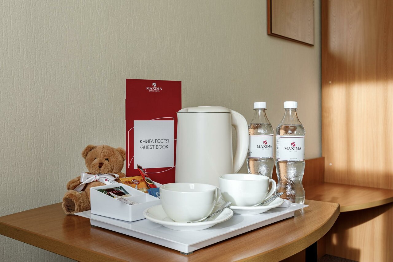 Гостиница Максима Ирбис Москва-74