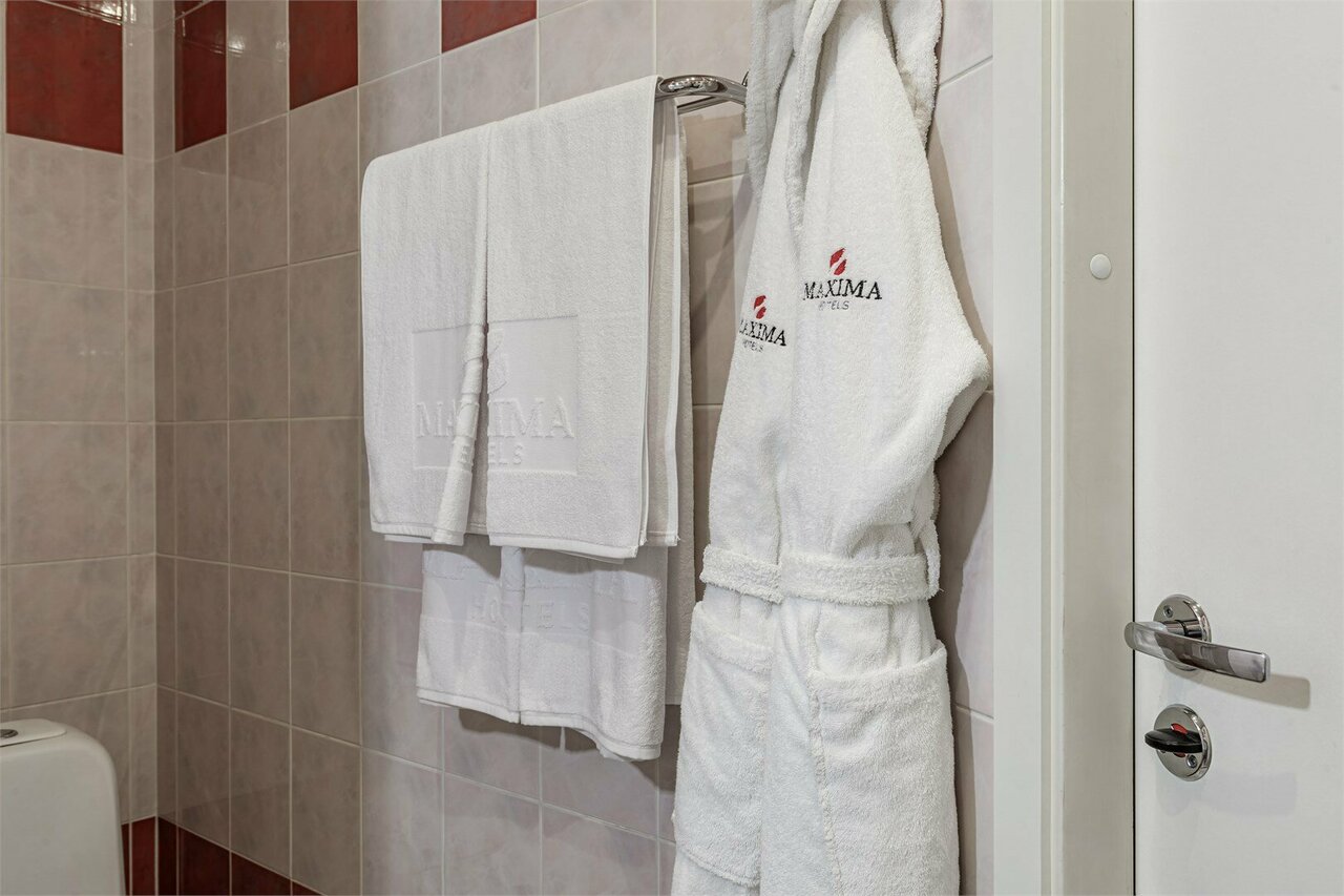 Гостиница Максима Ирбис Москва