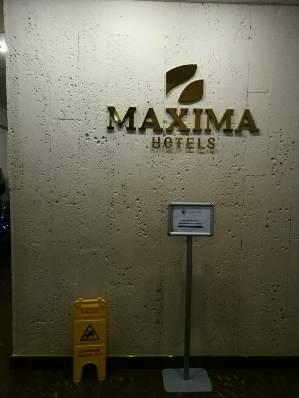 Гостиница Максима Ирбис Москва-26