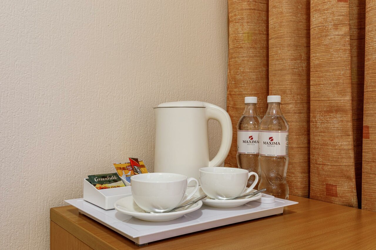 Гостиница Максима Ирбис Москва-94