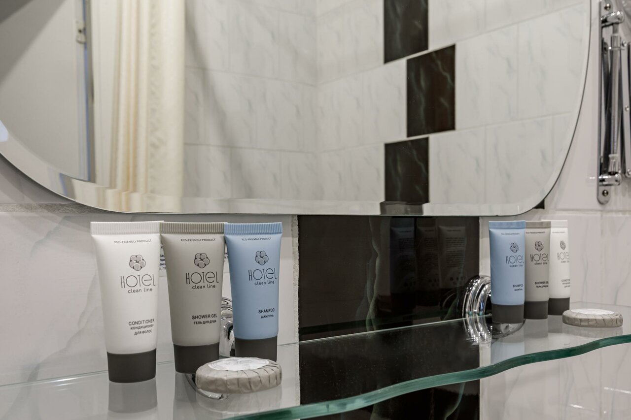 Гостиница Максима Ирбис Москва-24