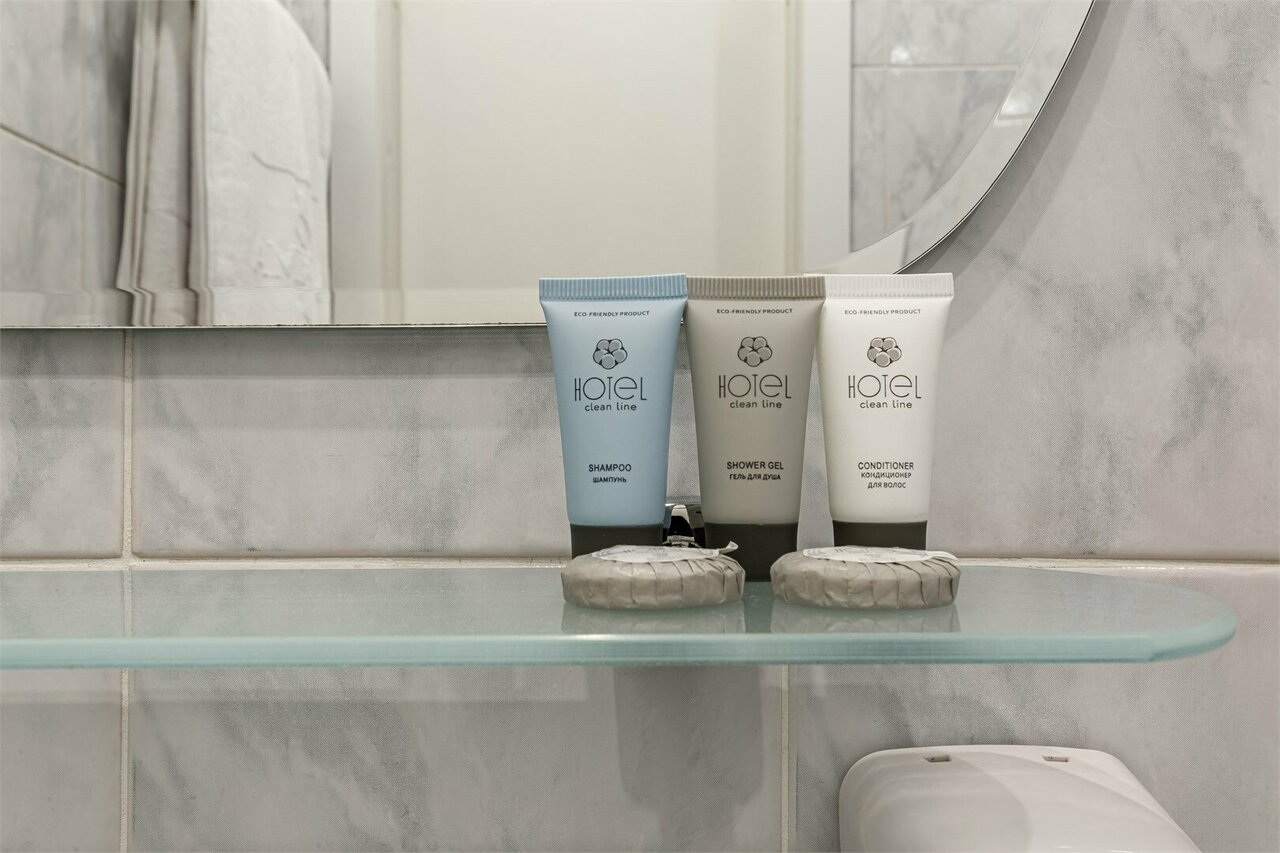 Гостиница Максима Ирбис Москва