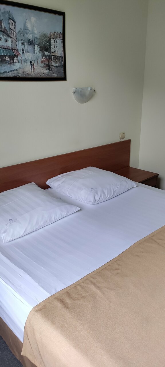 Гостиница Максима Ирбис Москва-205