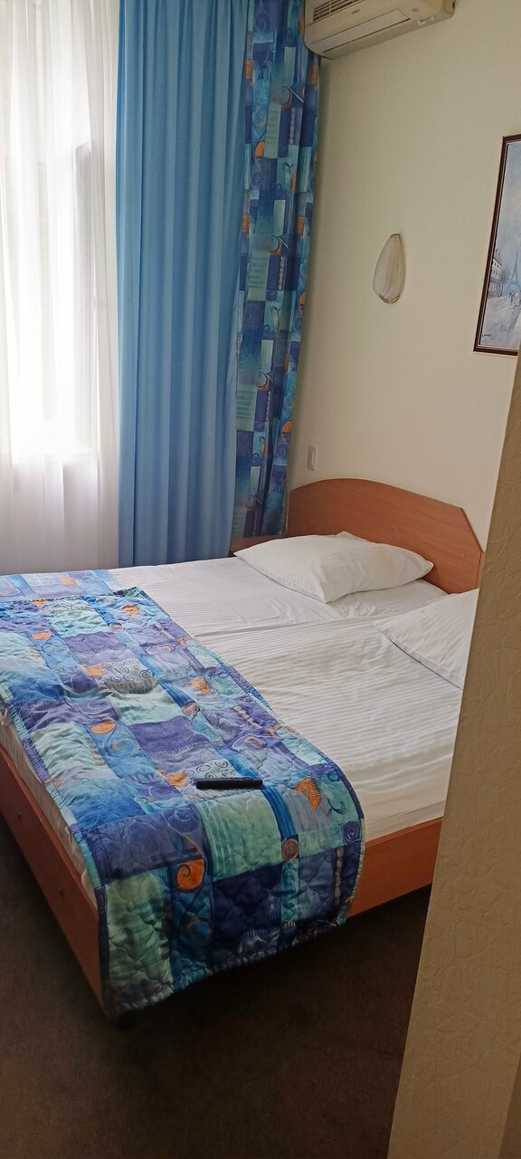 Гостиница Максима Ирбис Москва-252