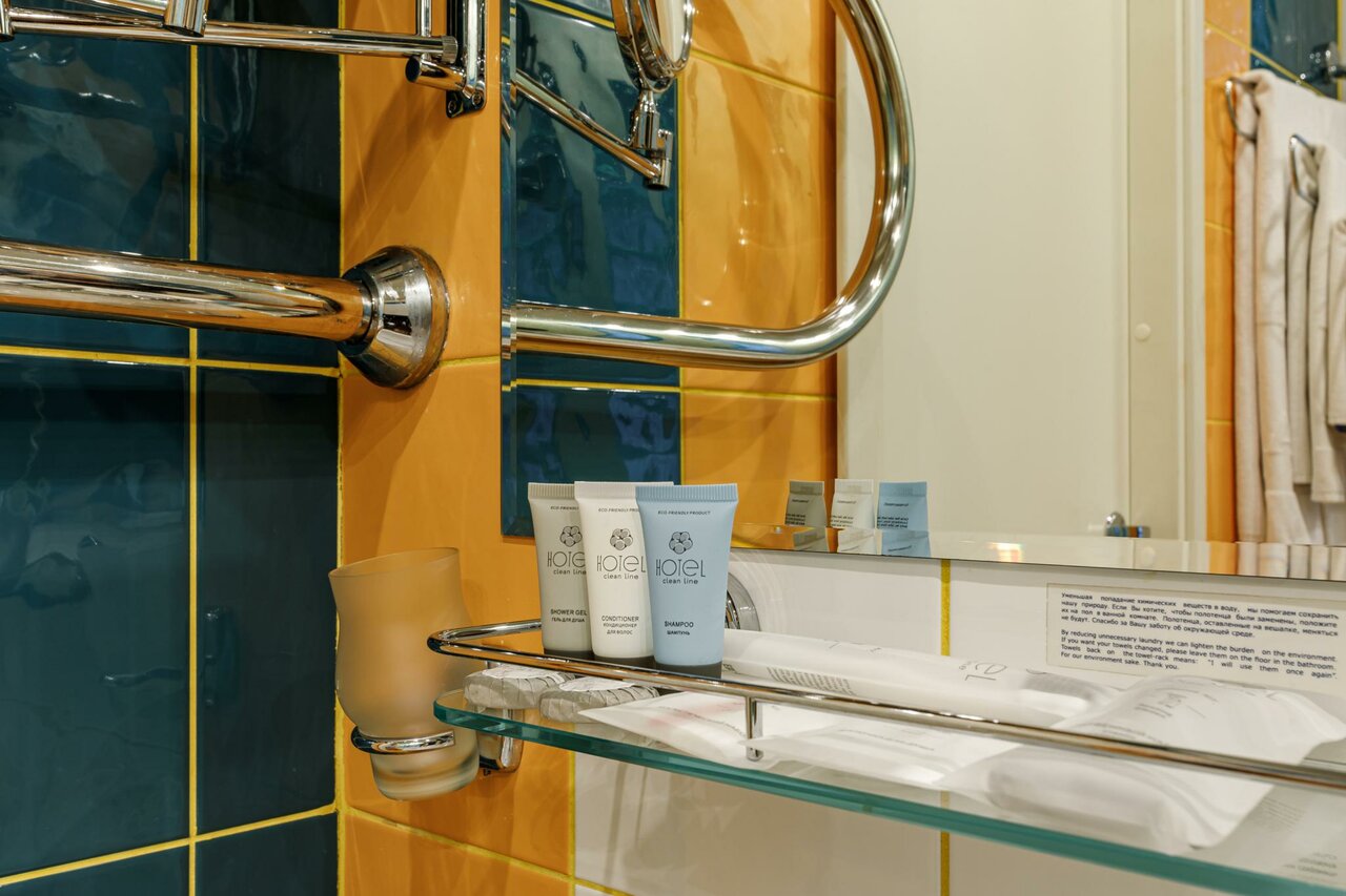 Гостиница Максима Ирбис Москва-68