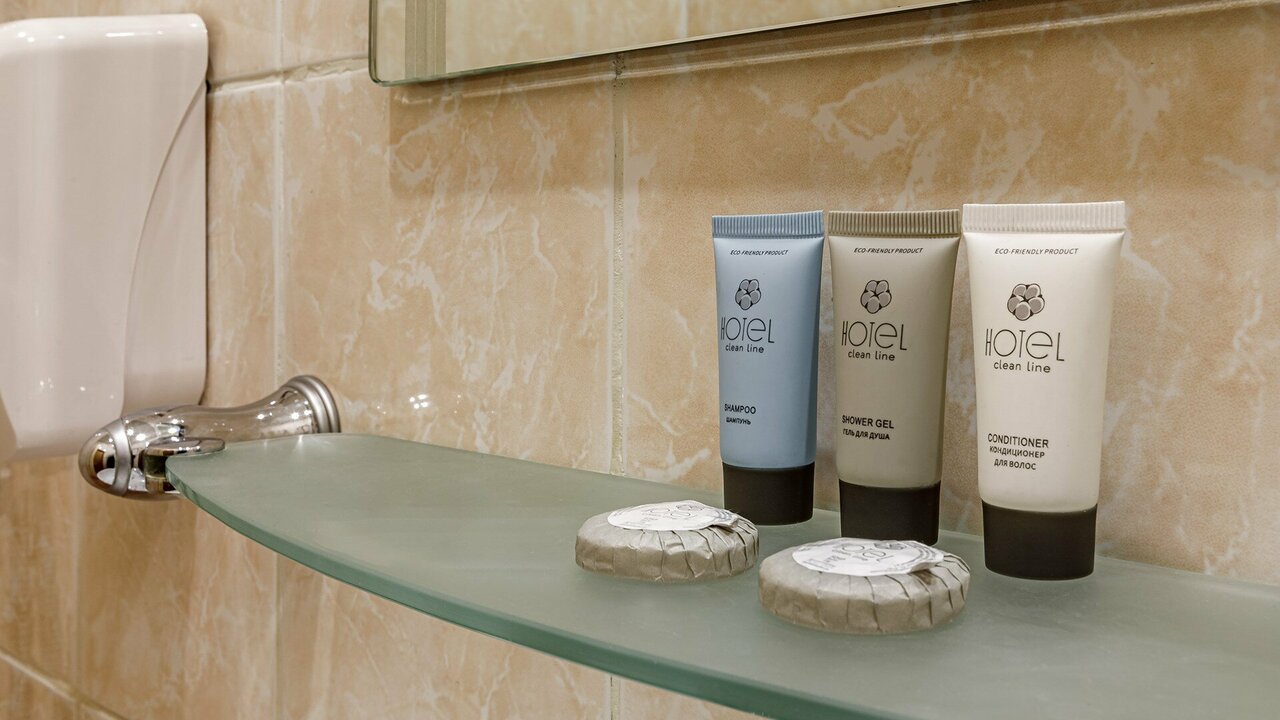 Гостиница Максима Ирбис Москва