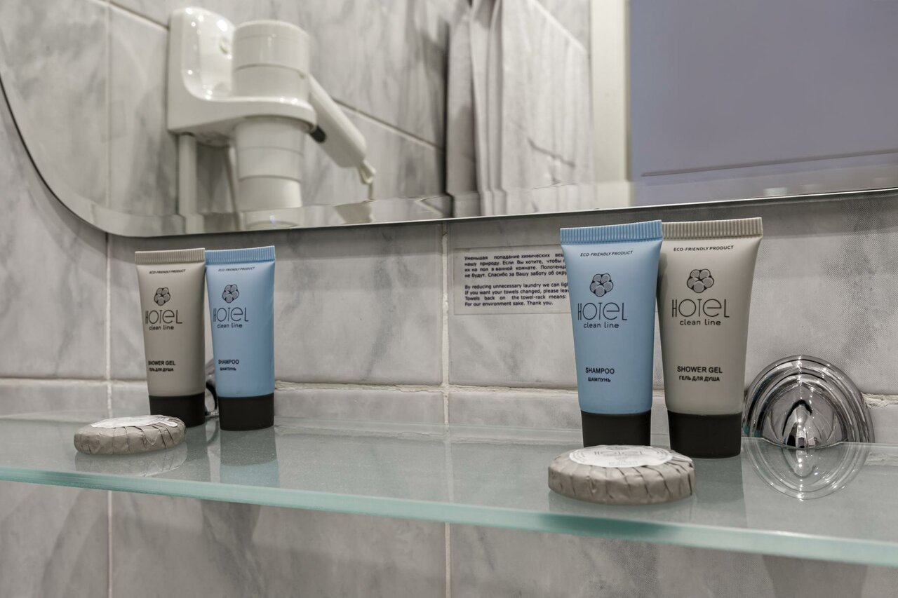 Гостиница Максима Ирбис Москва-59