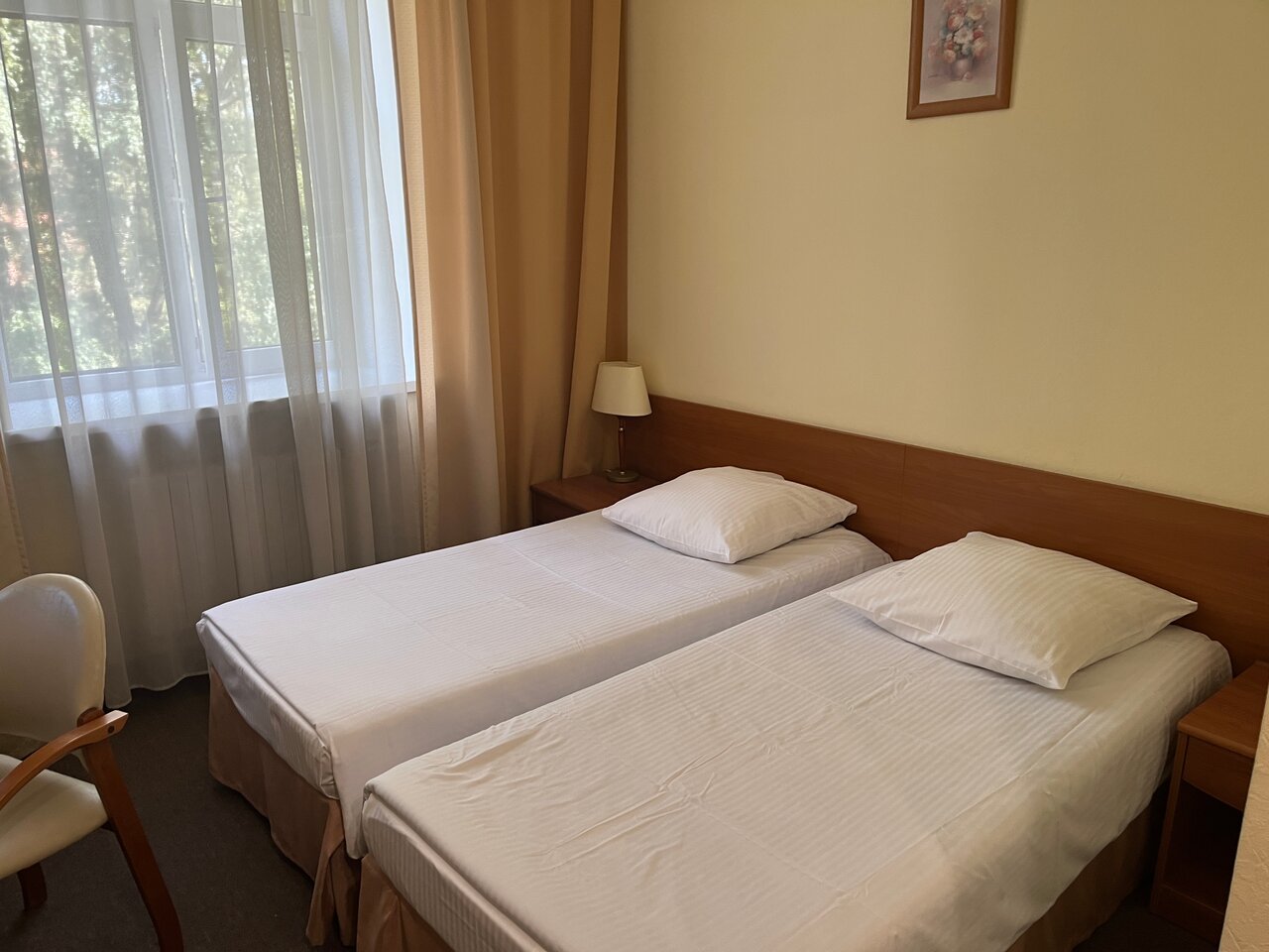 Гостиница Максима Ирбис Москва-15