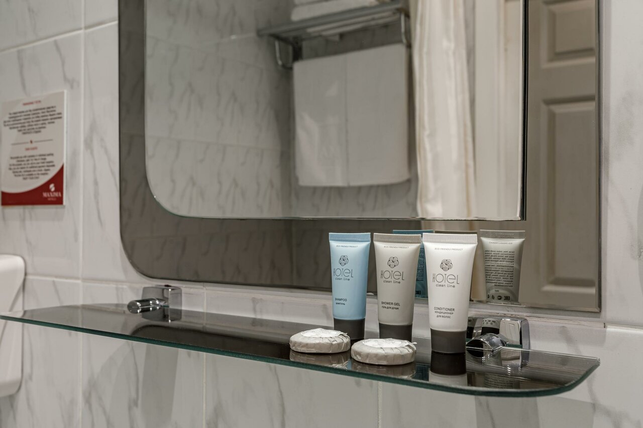 Гостиница Максима Ирбис Москва-109