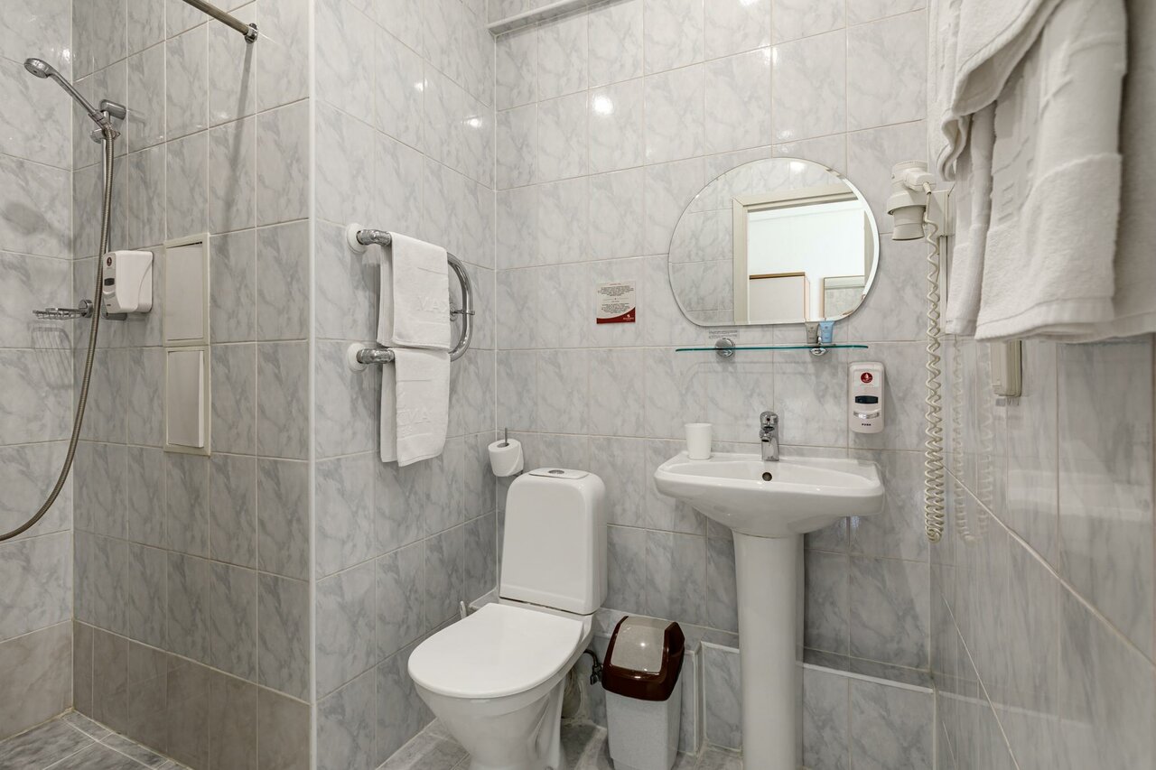 Гостиница Максима Ирбис Москва-179