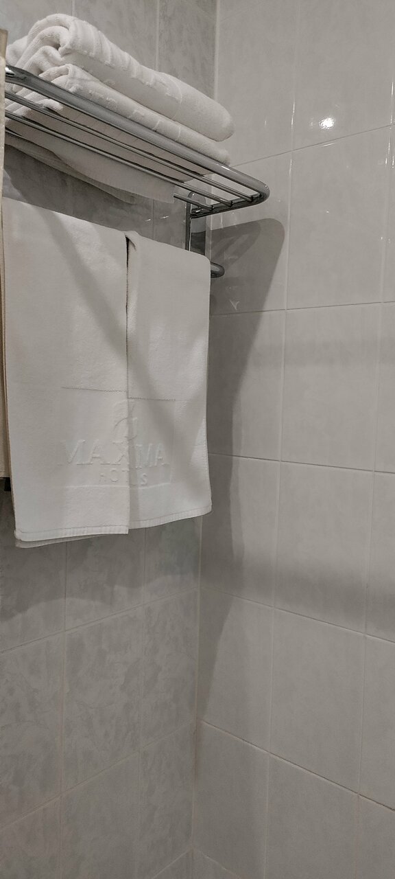 Гостиница Максима Ирбис Москва-238