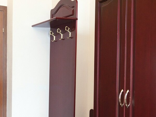 Гостиница Максима Ирбис Москва-61