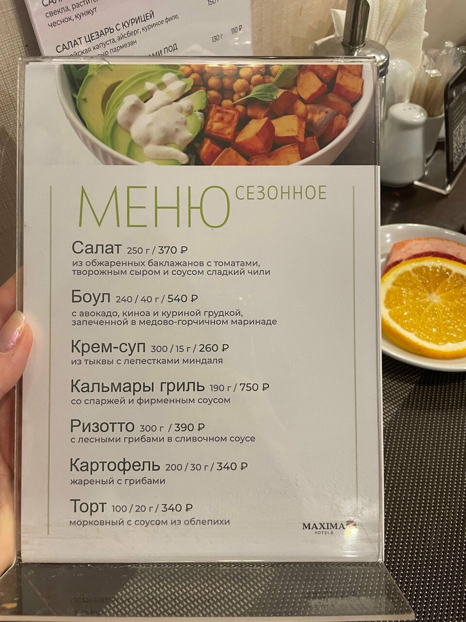 Гостиница Максима Ирбис Москва-195