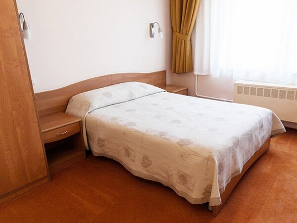 Гостиница Максима Ирбис Москва-139