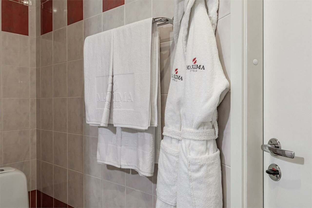 Гостиница Максима Ирбис Москва-48