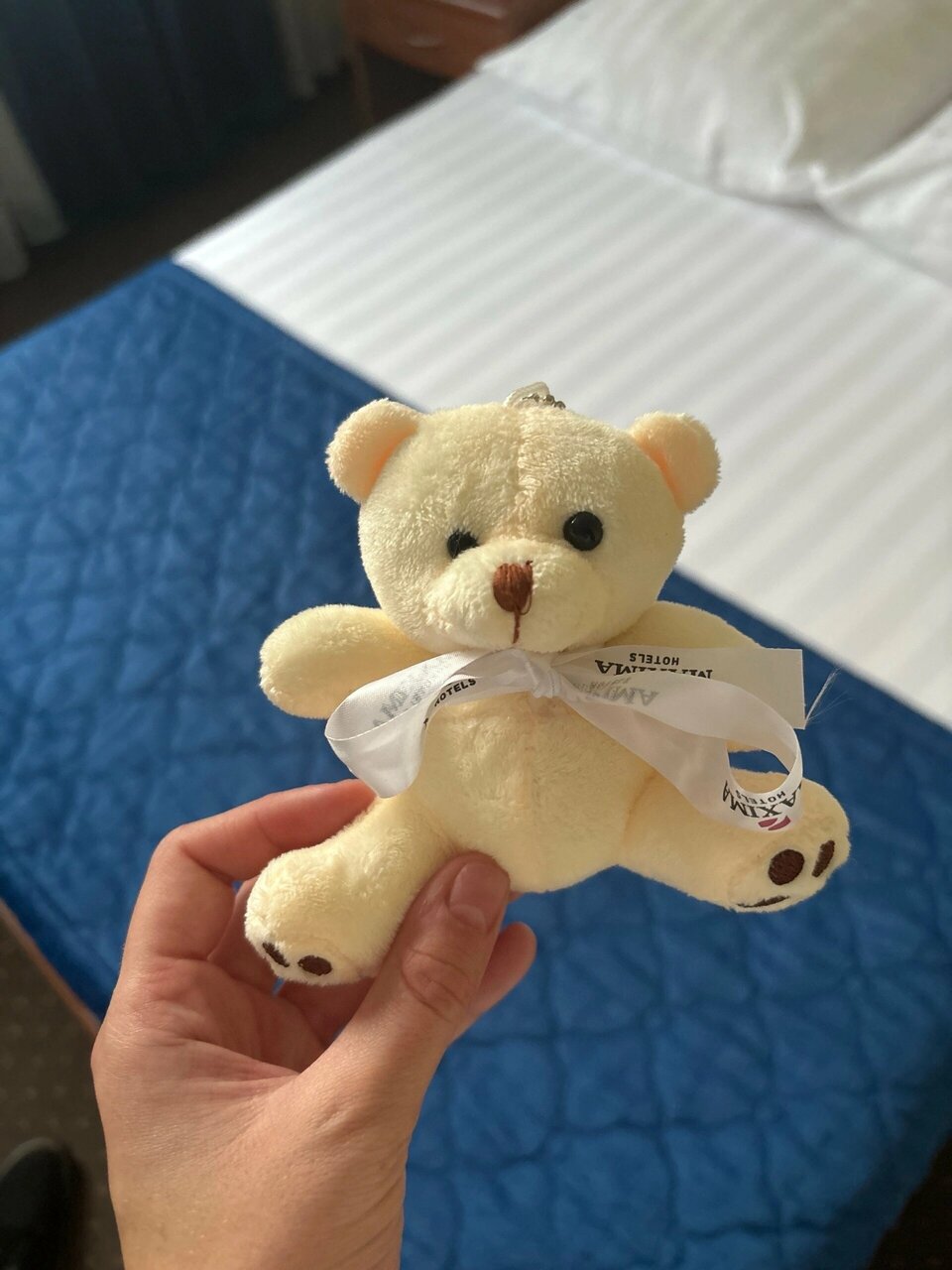 Гостиница Максима Ирбис Москва-233