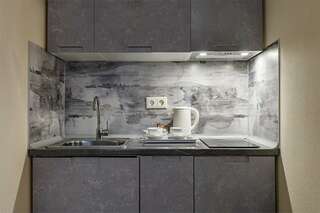 Гостиница Максима Ирбис Москва Апартаменты с 1 спальней-7