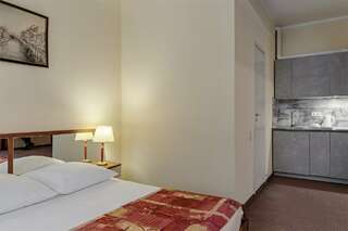 Гостиница Максима Ирбис Москва Апартаменты с 1 спальней-5