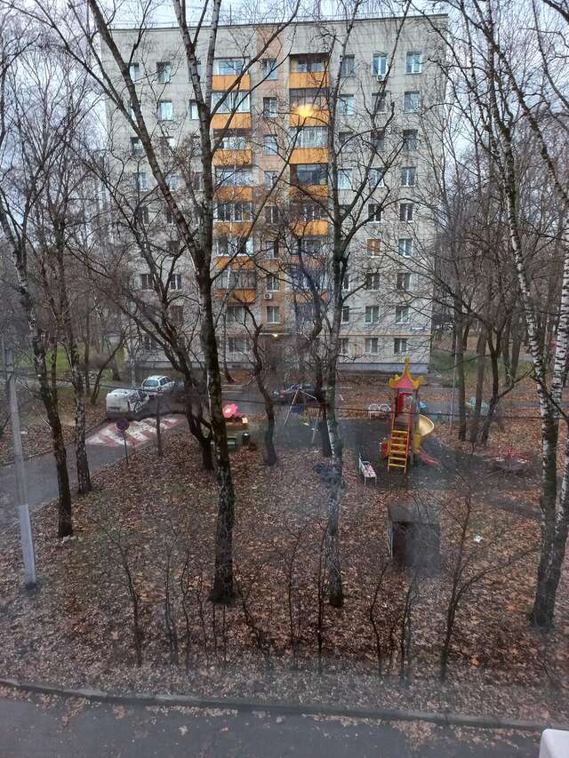 Гостиница Максима Ирбис Москва-189