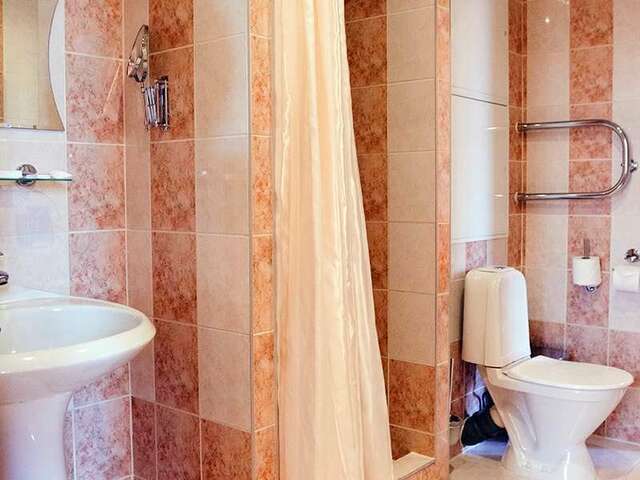 Гостиница Максима Ирбис Москва-113